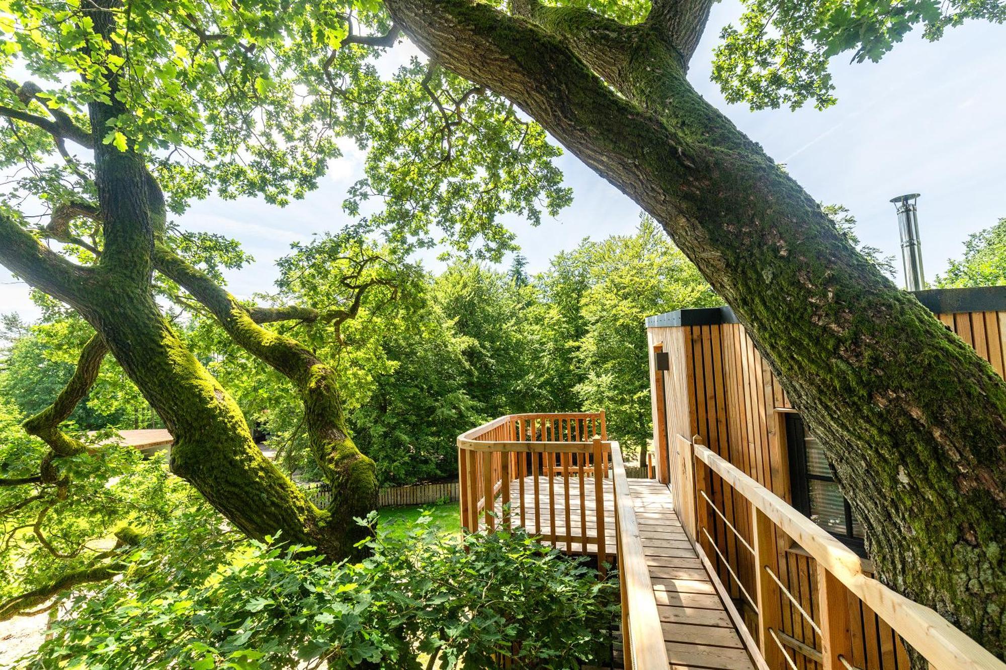 Heide Ferien - Hof Bockelmann Apartment Bispingen Ruang foto