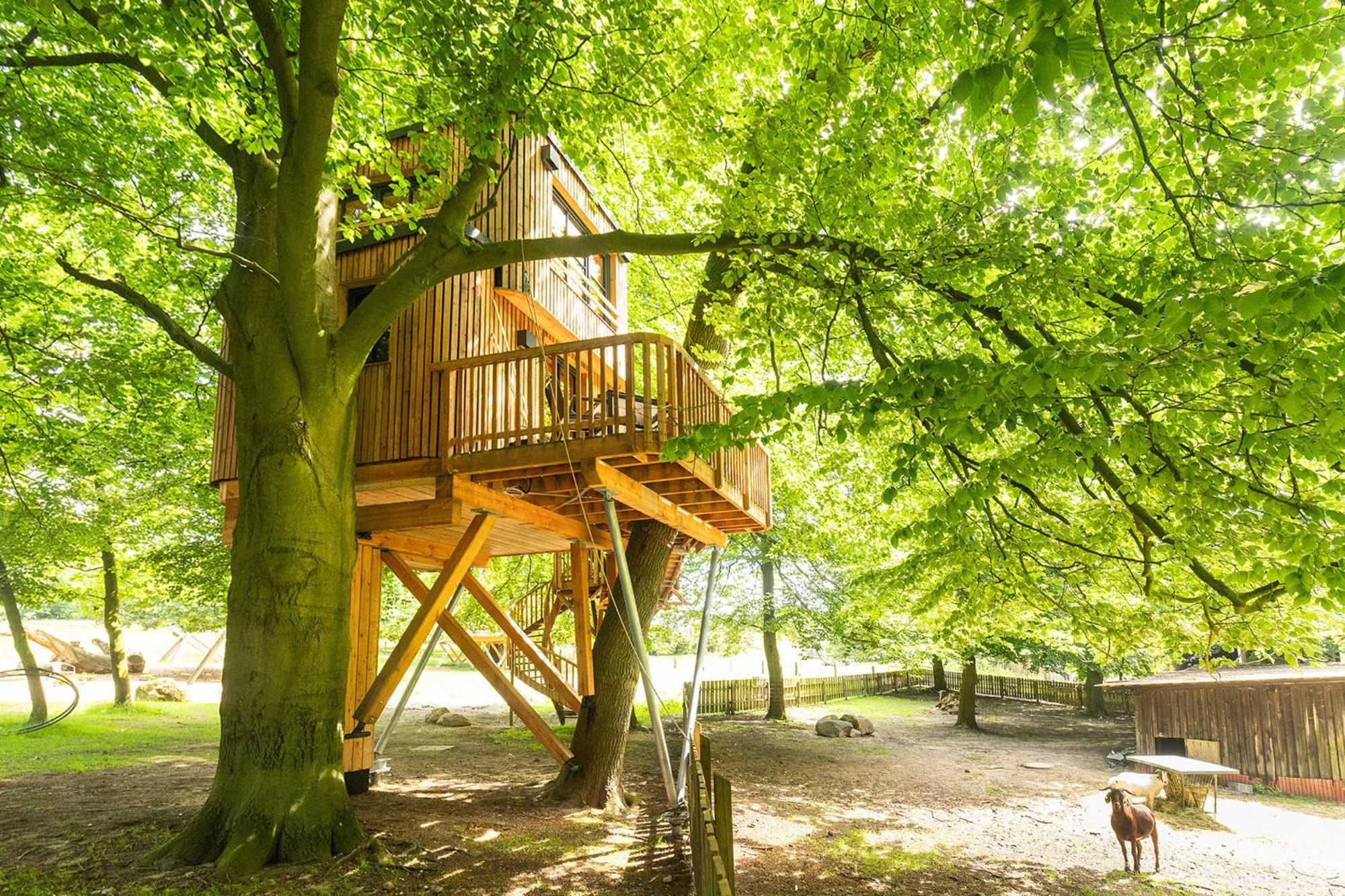 Heide Ferien - Hof Bockelmann Apartment Bispingen Bagian luar foto