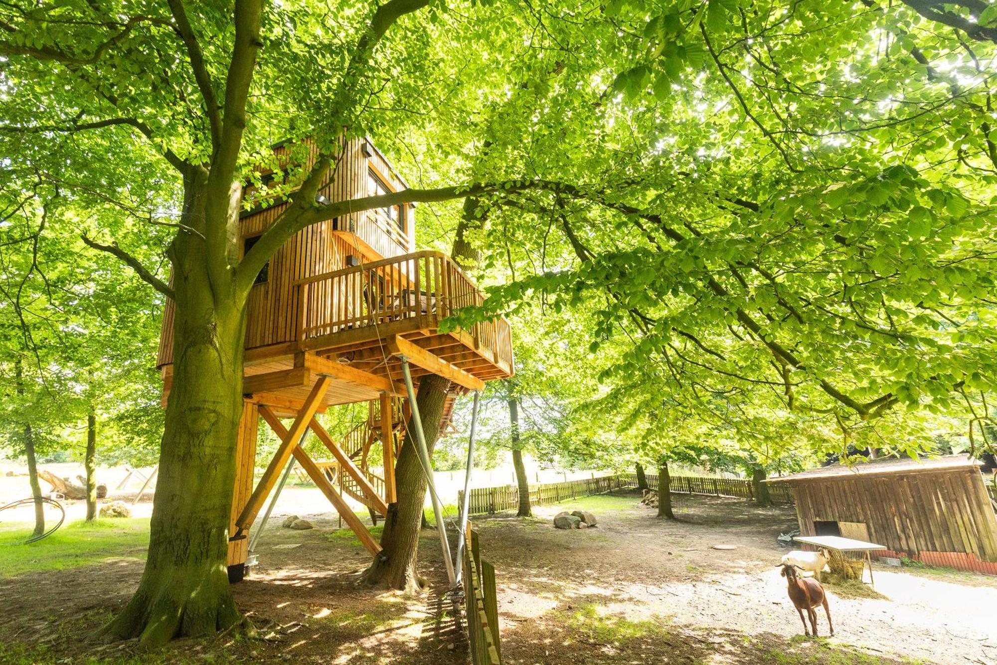 Heide Ferien - Hof Bockelmann Apartment Bispingen Ruang foto