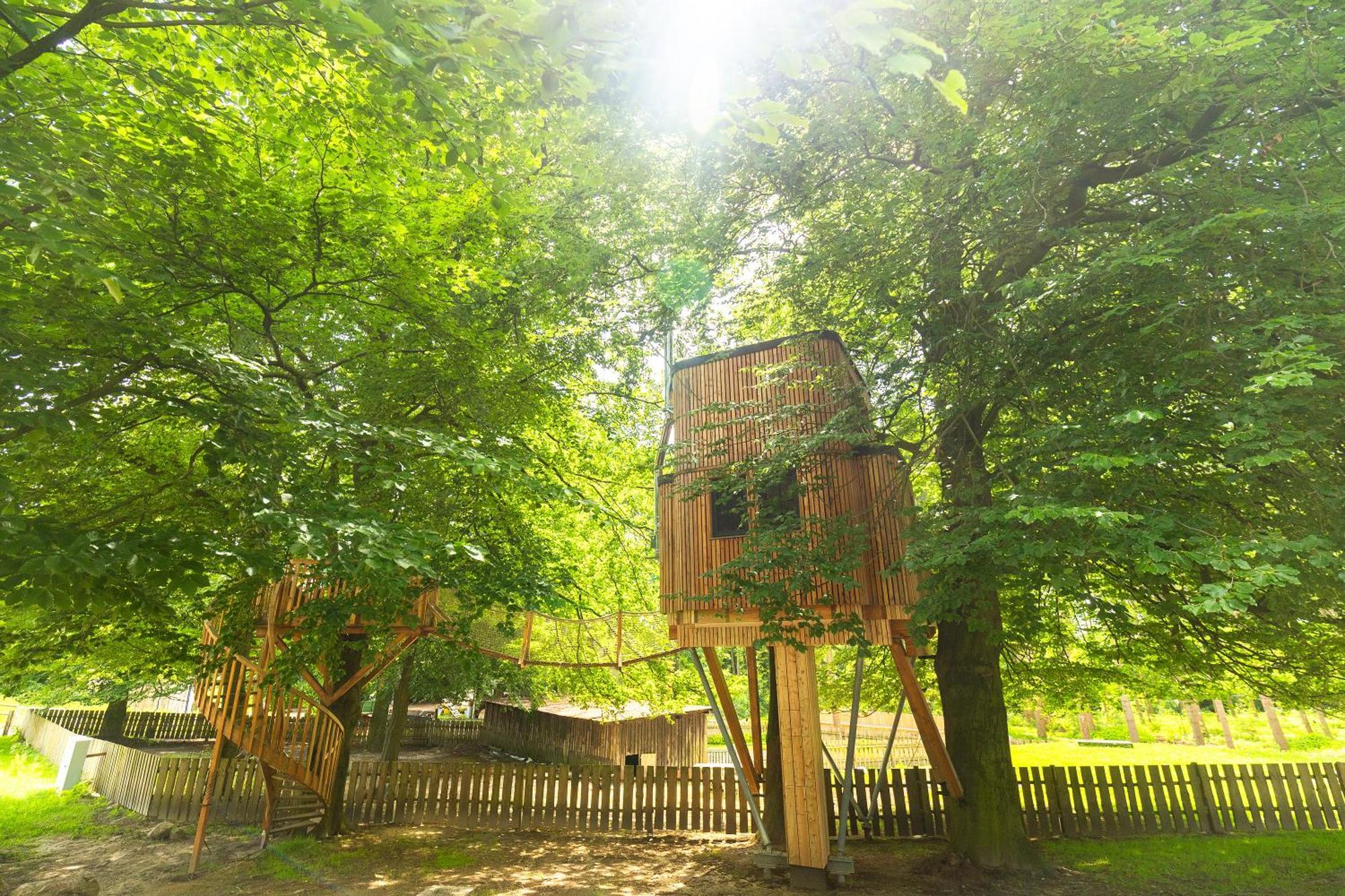 Heide Ferien - Hof Bockelmann Apartment Bispingen Ruang foto